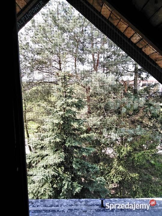 Siatka Ochronną Kota Na Balkon Montaż Przeciw mazowieckie