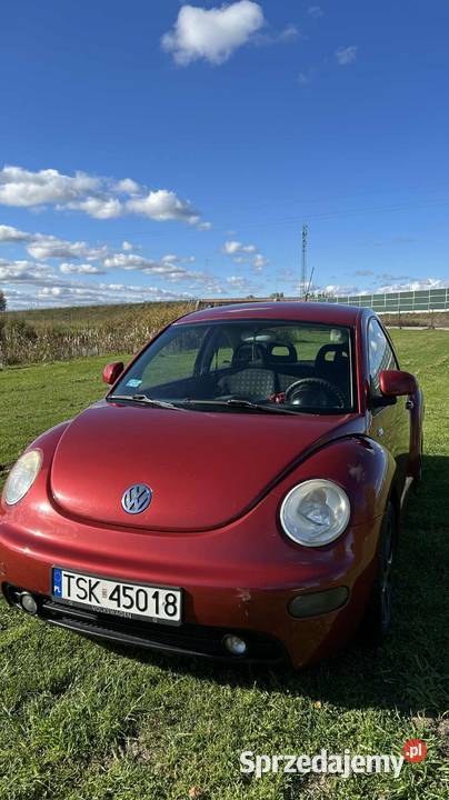 VW Beetle Garbus Bydgoszcz