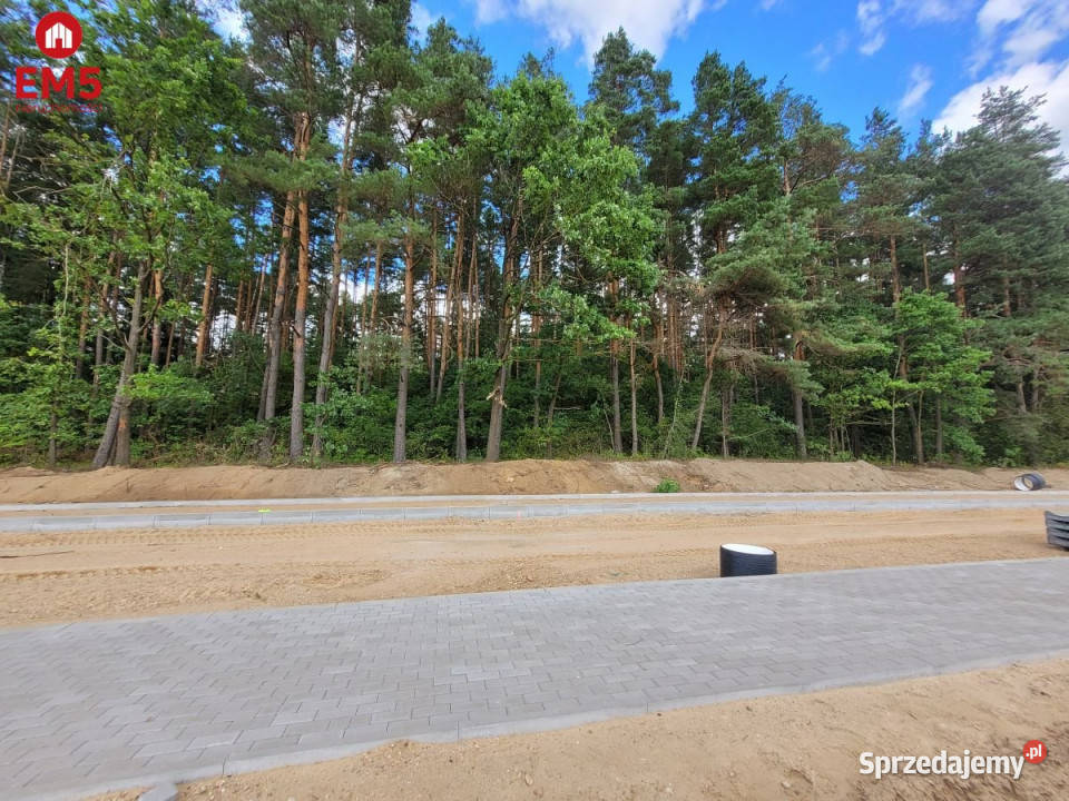 Grunt 3300m2 Olmonty 100m podlaskie