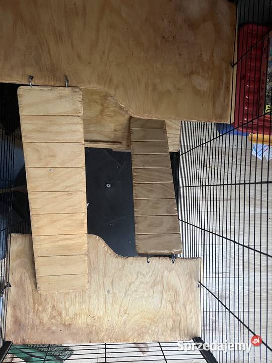 Klatka gryzonii duża szczur szczurów szynszyli Dla gryzoni Jaworzno