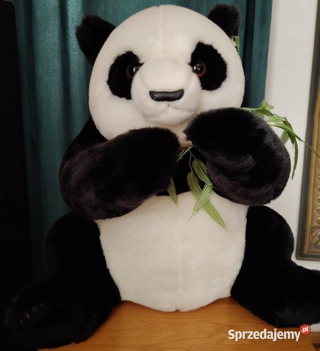 Maskotka Panda z pekińskiego zoo 60 Kraków sprzedam