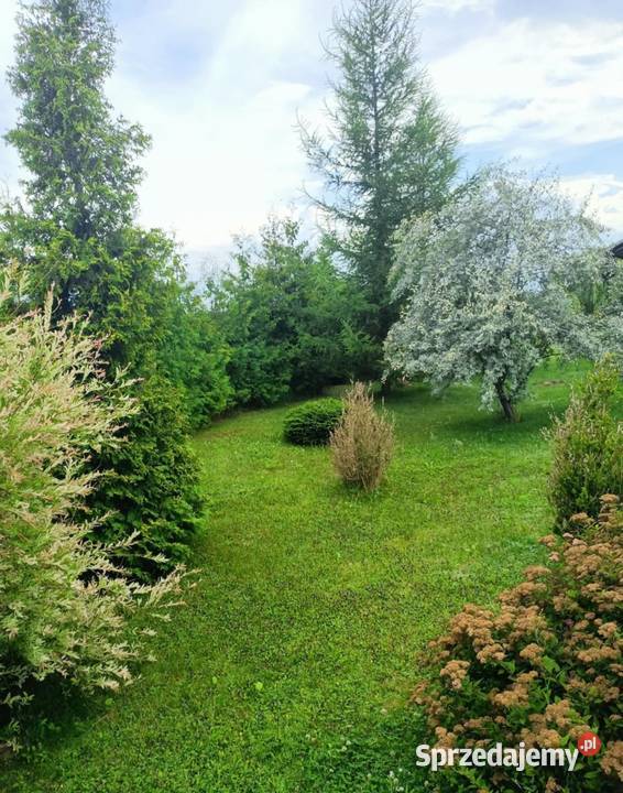 Sprzedam działkę w Zemborzycach Wojciechowskich Zemborzyce Wojciechowskie sprzedam