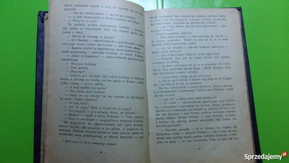 Ulana Józef Ignacy Kraszewski Proza i poezja łódzkie