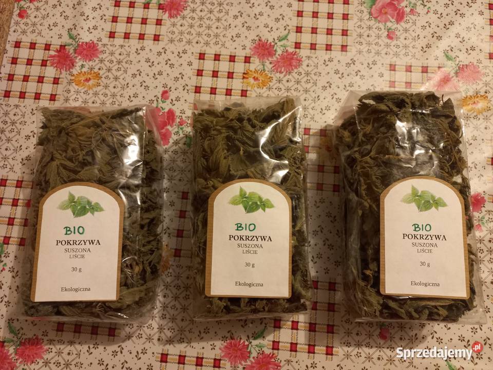 BIO suszona POKRZYWA liście opak 30g ekologiczna Puławy