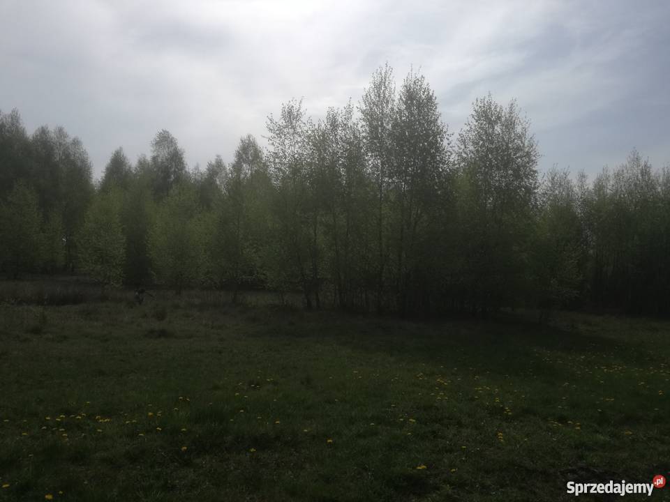 Sprzeda działkę budowlaną w Cygance z WZ Cyganka