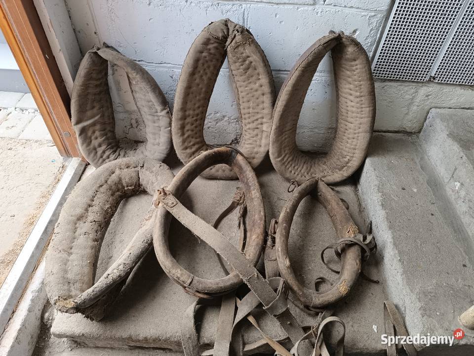 Zabytkowe akcesoria konne chomąto uprząż homonto podkarpackie Rzeszów