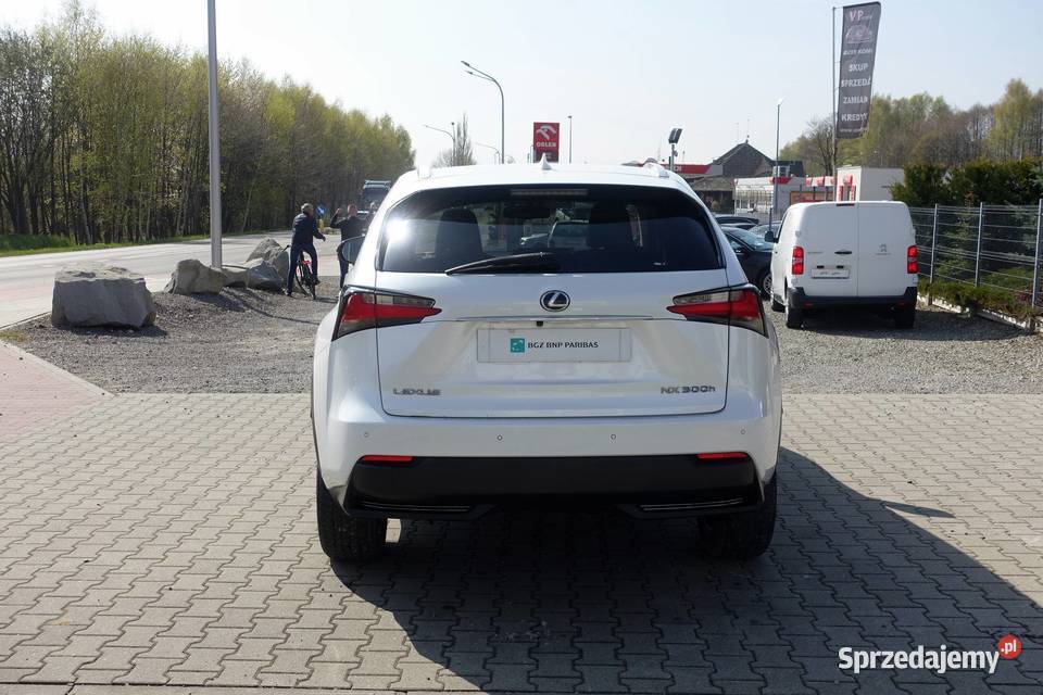 LEXUS NX 300H 197 4X4 SKÓRA AUTOMAT BIAŁA PERŁA Rok produkcji 2014 NX śląskie Buczkowice