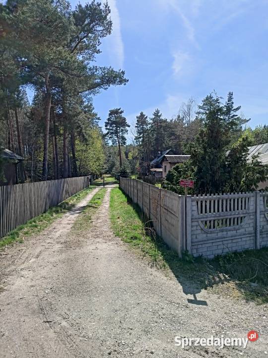 Siedlisko z lasem Wola Polska