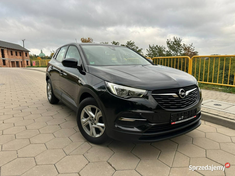 Opel Grandland X Opel Grandland X Opłacony Mały klimatyzacja Grandland X wielkopolskie Gostyń