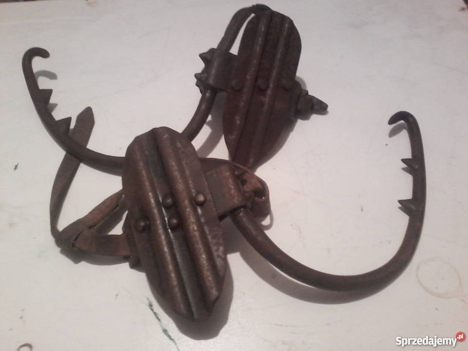 Stare słupołazy drzewołazy