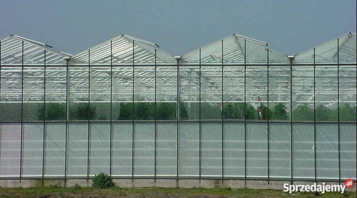 Szklarnia VENLO małopolskie