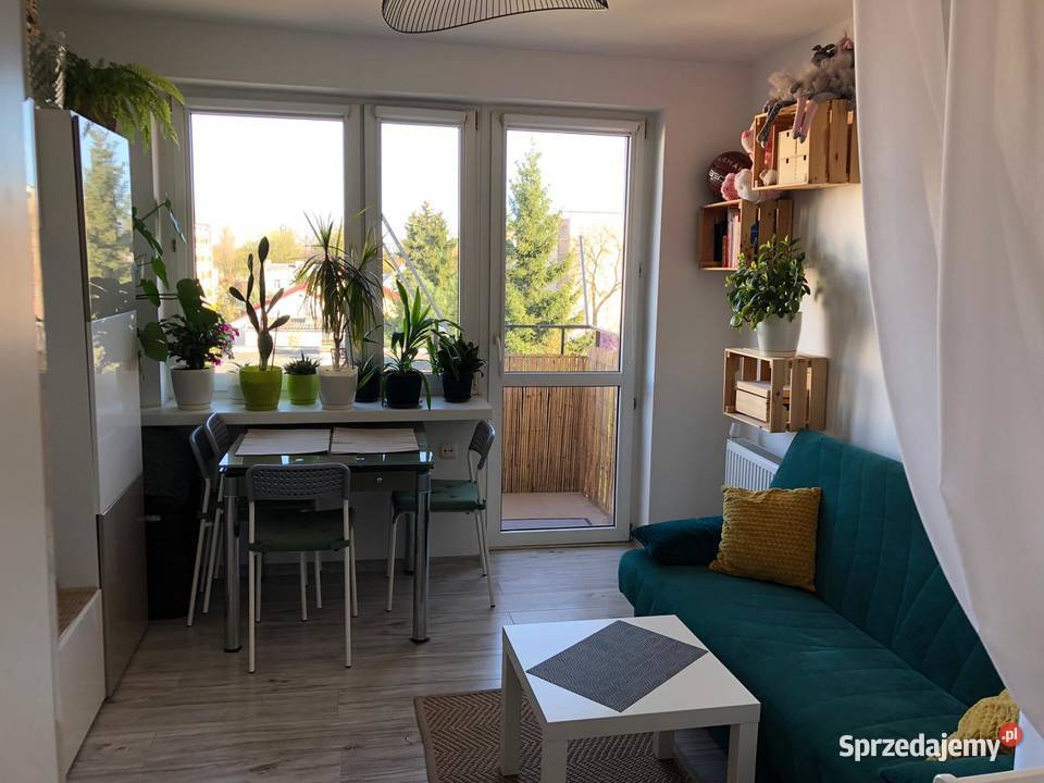 Wyremontowana kawalerka zaraz mazowieckie Płock