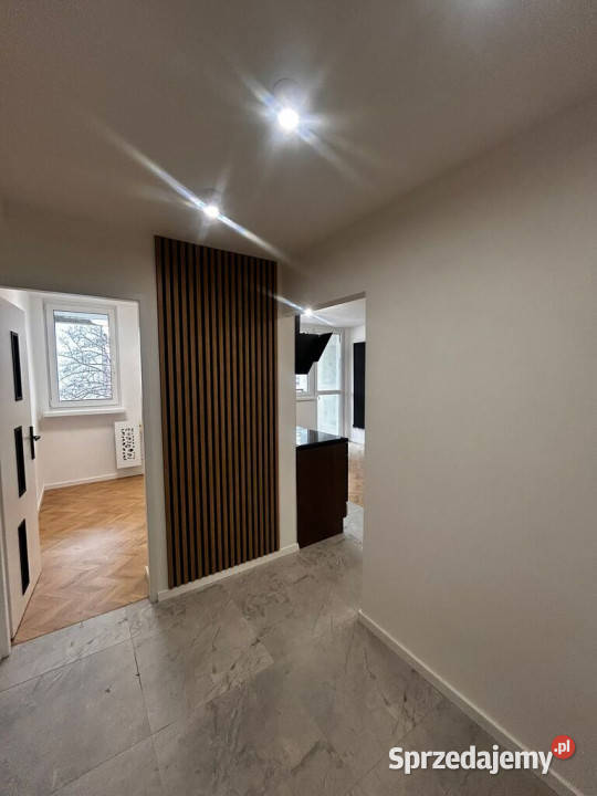 mieszkanie 3 pok OpoleZaodrze Liczba pokoi 3 Opole