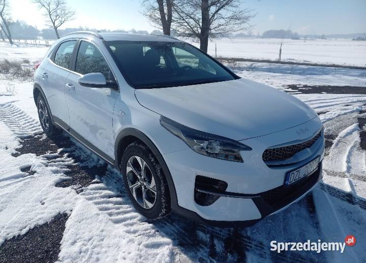 Kia Xceed 15 benzyna 160 koni Olszanica