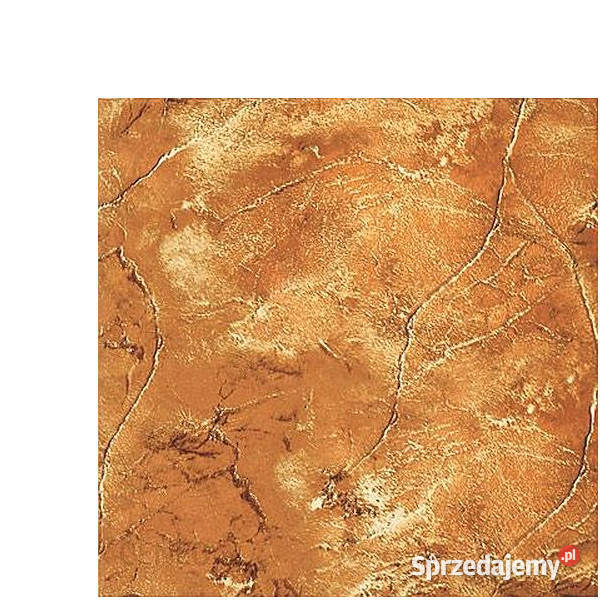 Płytki Kervara brąz 333 x 333 Domino aktualne zachodniopomorskie Białogard