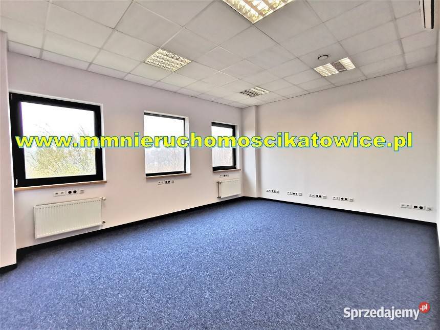 Powierzchnie magazynowe 200 do 10000 m2 do Sosnowiec