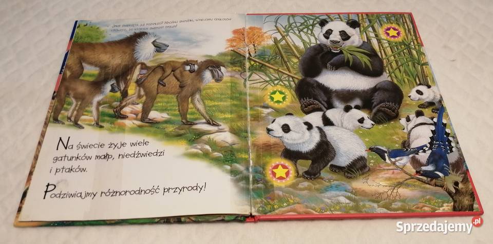 Odgłosy dzikich zwierząt książeczka dźwiękowa Czeladź sprzedam