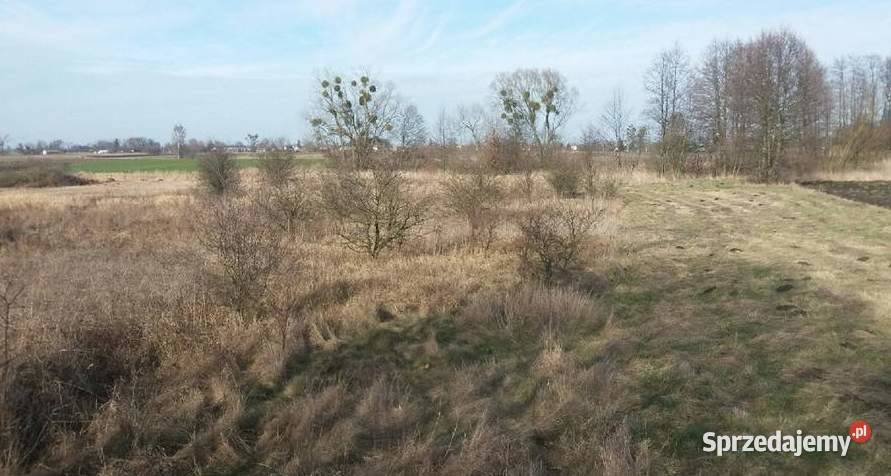Działka 58a rolna Zastawe koło Urszulina jezioro Zastawie