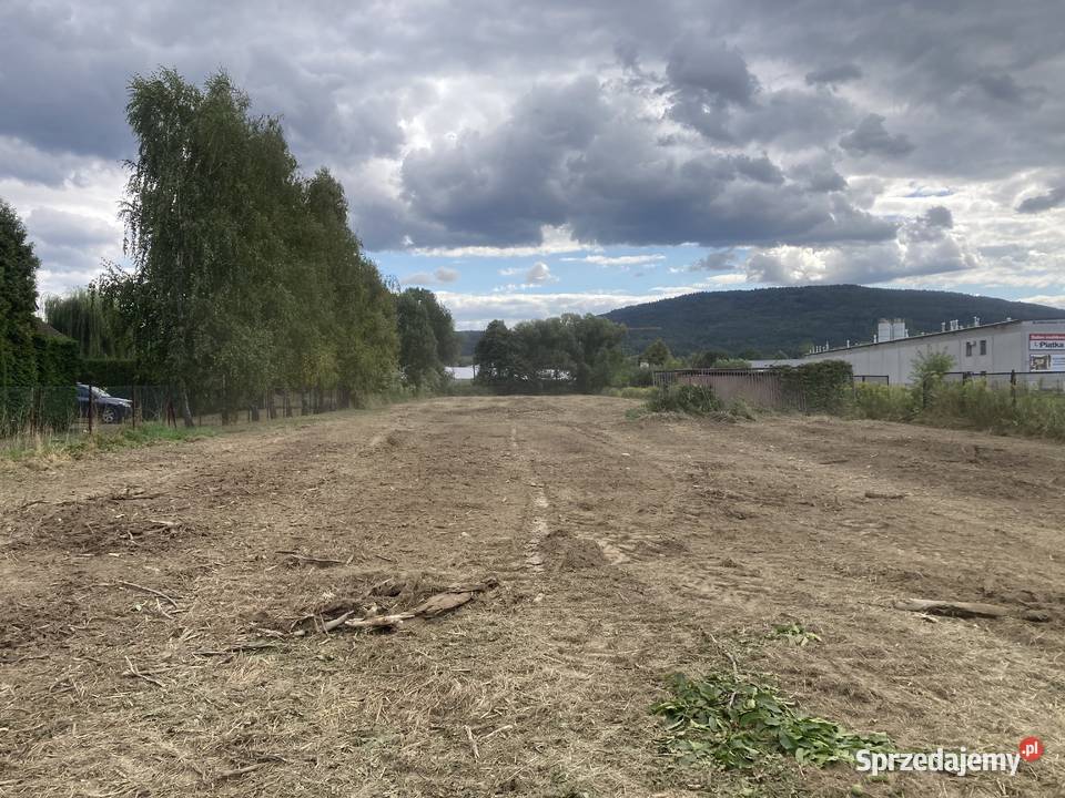 Karczowanie działek pod inwestycje Marszowice Karczowanie i usuwanie drzew