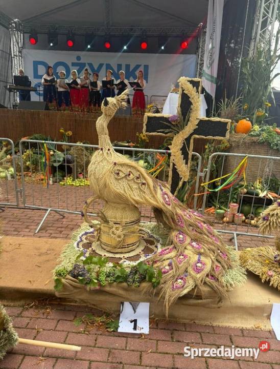 Wieniec Dożynkowy Paw