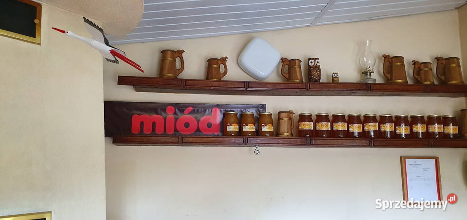 Miód Pszczeli prosto z własnej pasieki Różne Wisznice sprzedam