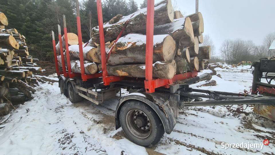 Scania R Scana R560 kłonice HDS przewóz drewna Sanok
