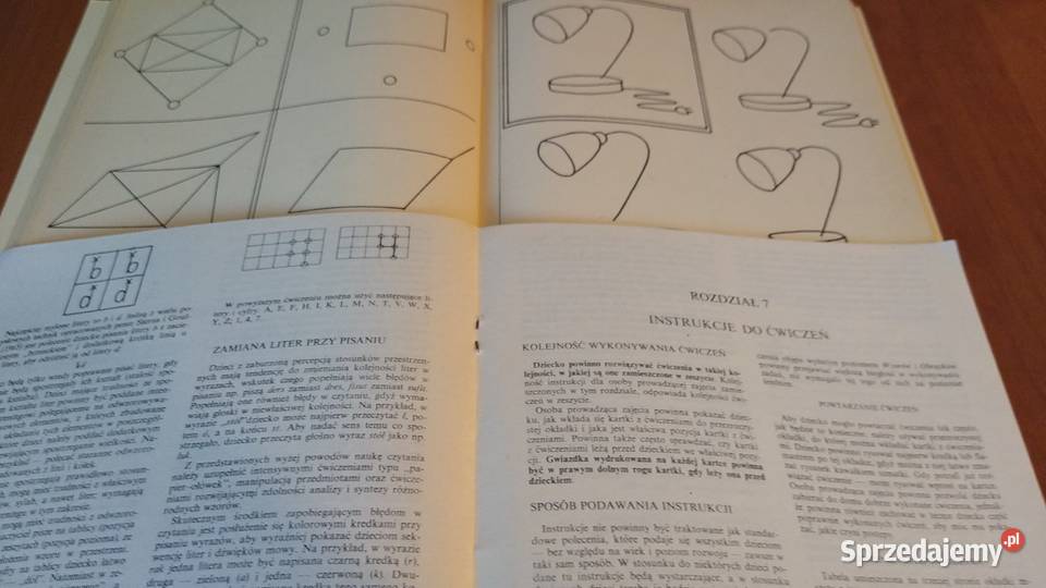 Wzory i obrazki program rozwijający percepcję pomorskie Gdańsk