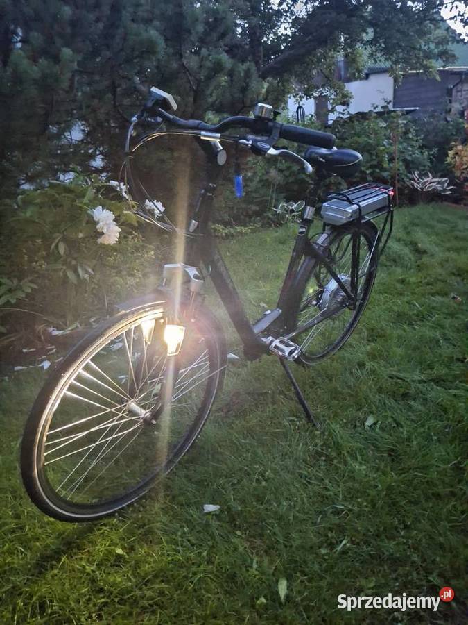 Rower elektryczny trek Alpha Platinum Gdynia