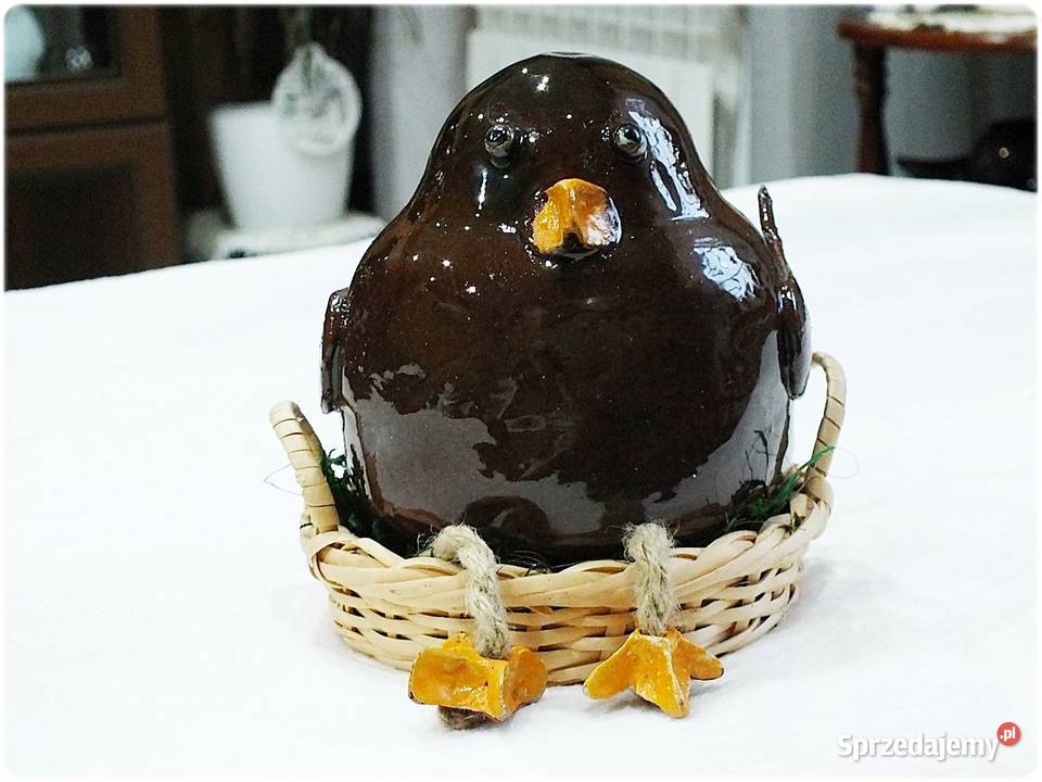 Duże grube ptaszysko Boczunio w gnieździe szuka lubuskie Żary