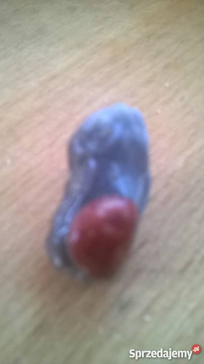 Krzemienie kolorowe lubelskie Wola Okrzejska