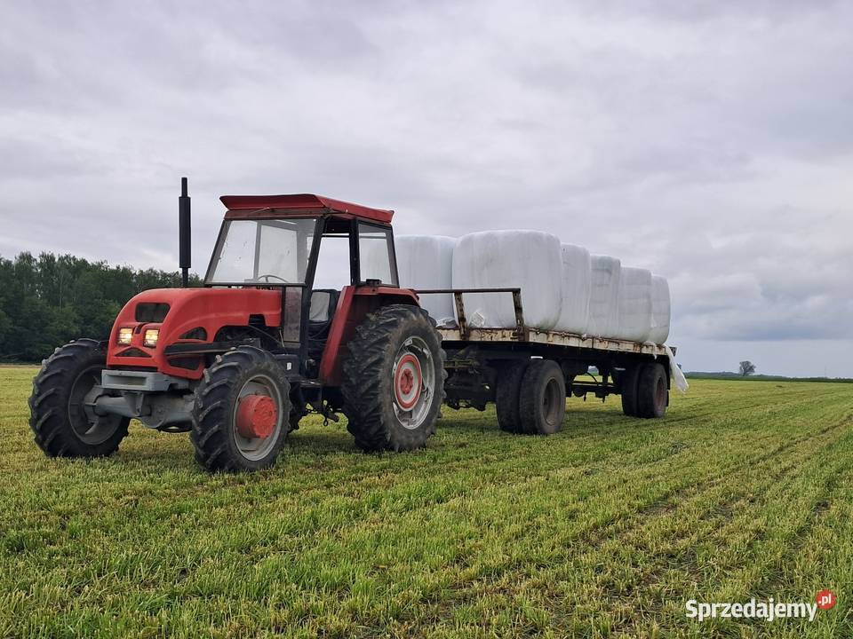 Mf 390 Zambrów