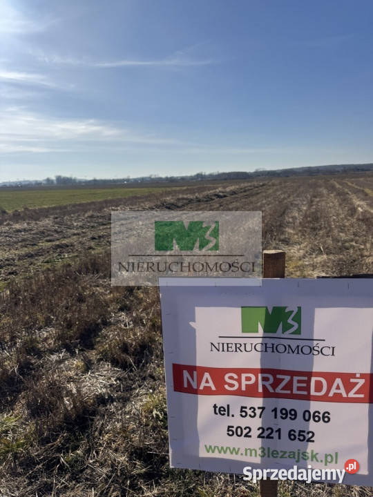 DO SPRZEDAŻY DZIAŁKA Z MOŻLIWOŚCIĄ ZABUDOWYDĘBNO asfalt Dębno sprzedam