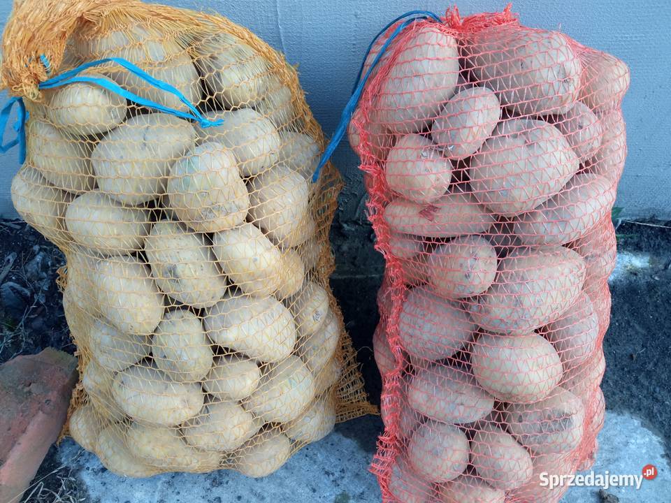 Sprzedam ziemniaki żółte smaczne świętokrzyskie Kiełczyna