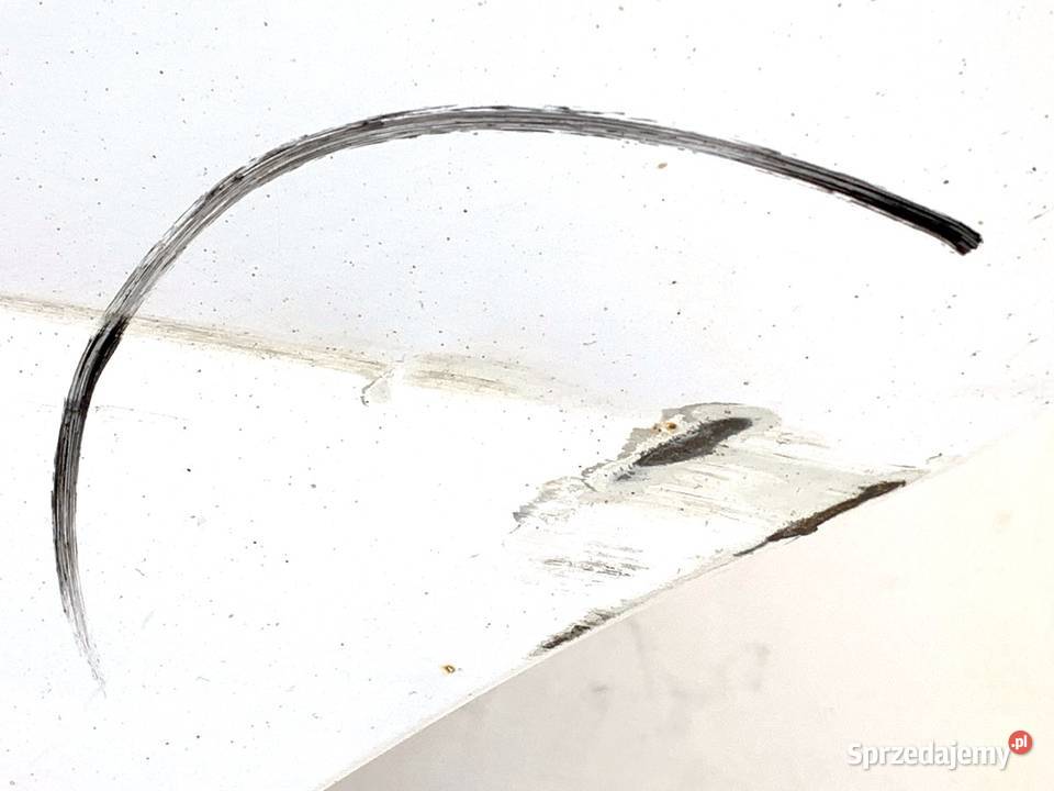 DRZWI PRAWY PRZÓD RENAULT MASTER III Bus