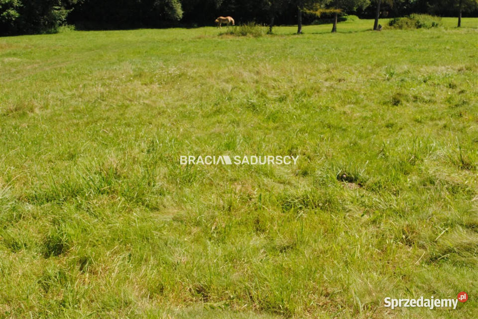 Działka Gdów 8670m2