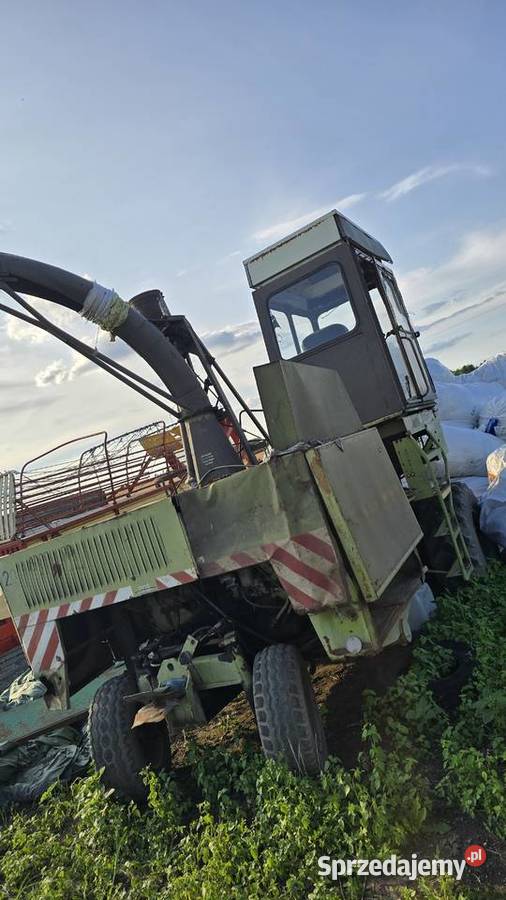 Sieczkarnia Fortschritt E281 heder do kukurydzy Wąwelno