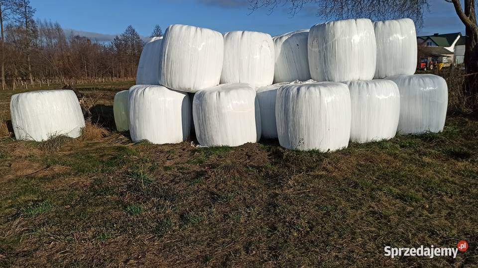 Sianokiszonka Rolnictwo Strzegowo