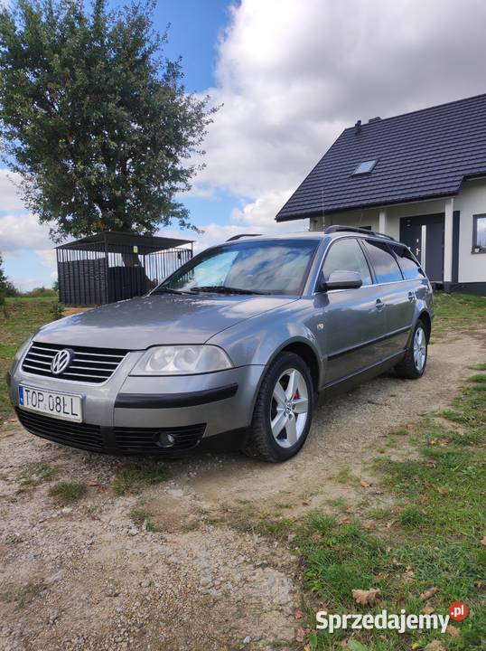 Passat B5 nieuszkodzony