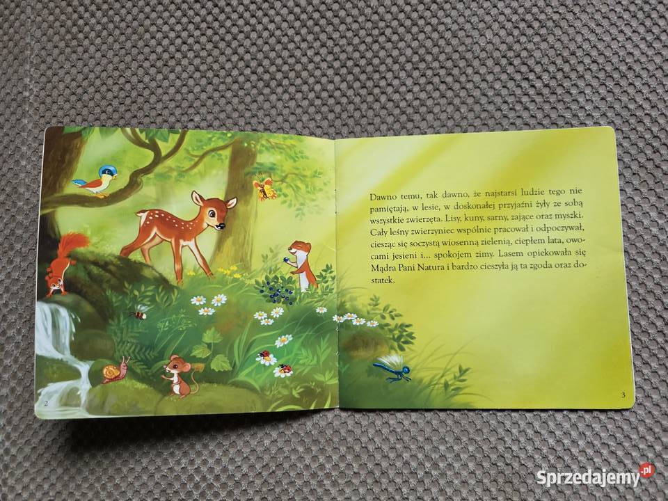 Dlaczego niedźwiedzie zapadają w zimowy sen Książki dla dzieci Kraków