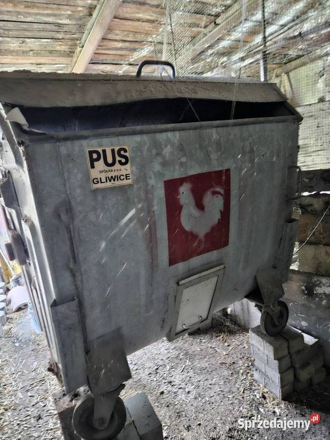 Paszociag karmić kury Gliwice