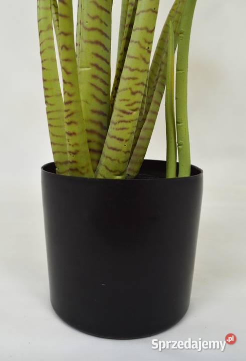 Alocasia sztuczna Tiger Taro Pink ładne drzewko sprzedam