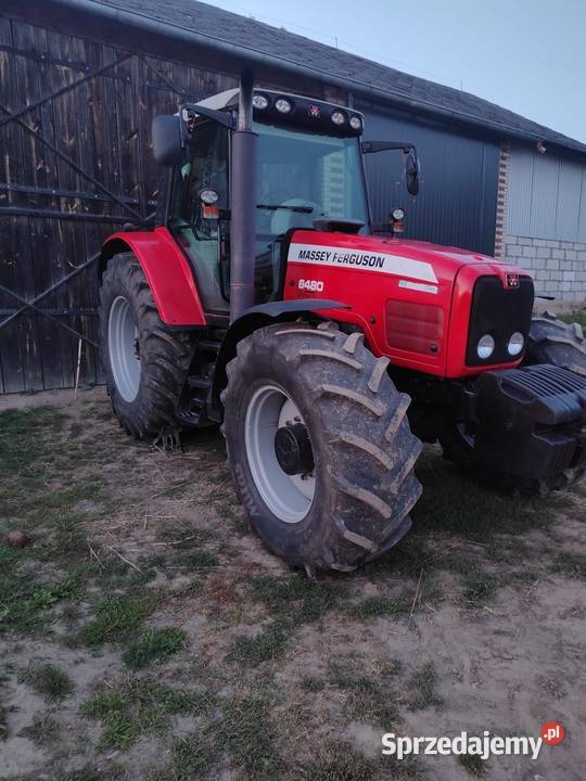 Massey Ferguson 6480 Massey Ferguson Krasnystaw