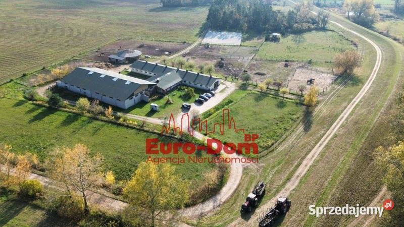 Renomowana stajnia na sprzedaż Sprzedaż mazowieckie Pruszków