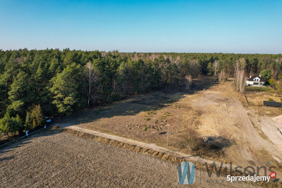 Działkę sprzedam 3726m2 Leszno Polna mazowieckie