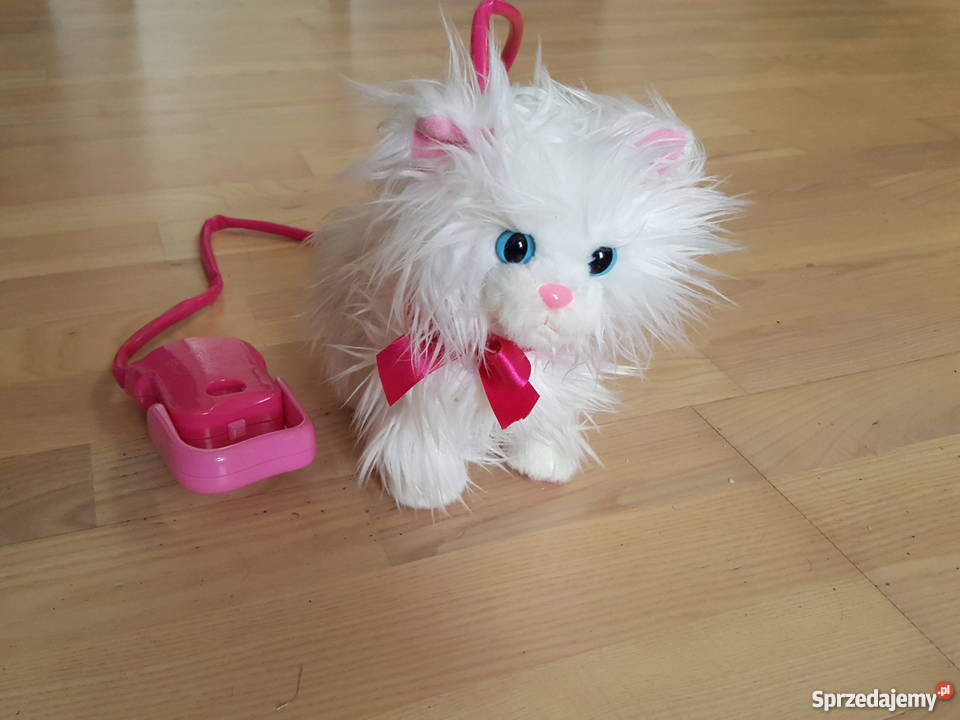 chodzący kotek Fifi Ani magic na świecącej małopolskie Kraków