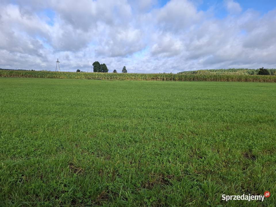 DZIAŁKA BUDOWLANA ŁĄŻEK KOŁO TLENIA BORY Łążek sprzedam