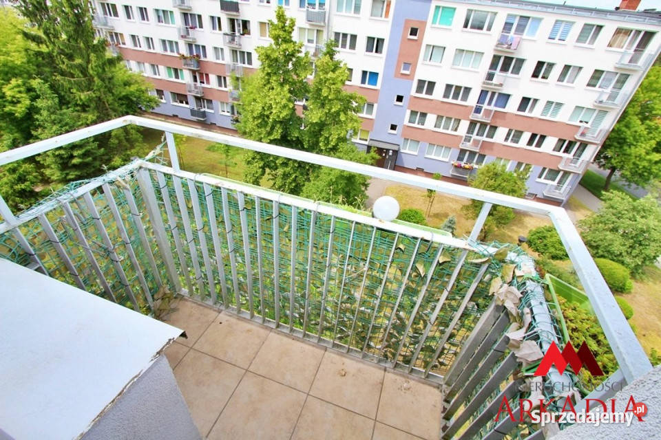 Mieszkanie Włocławek 482m2 2pokojowe