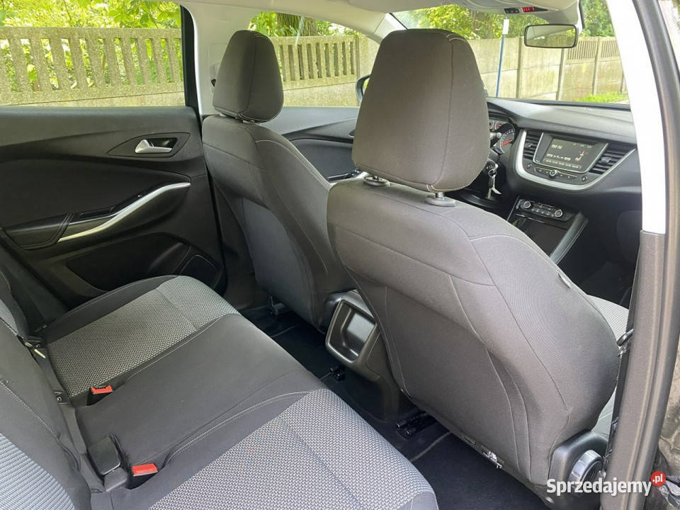 Opel Grandland X Opel Grandland X Opłacony Mały centralny zamek wielkopolskie