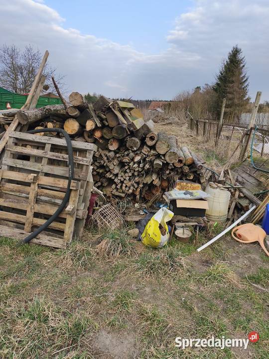 Drzewo opałowe różne Dom i Ogród Kawice