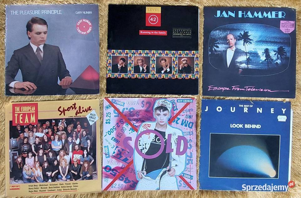 Płyty winylowe rock metal pop Metallica Hendrix Wiązów